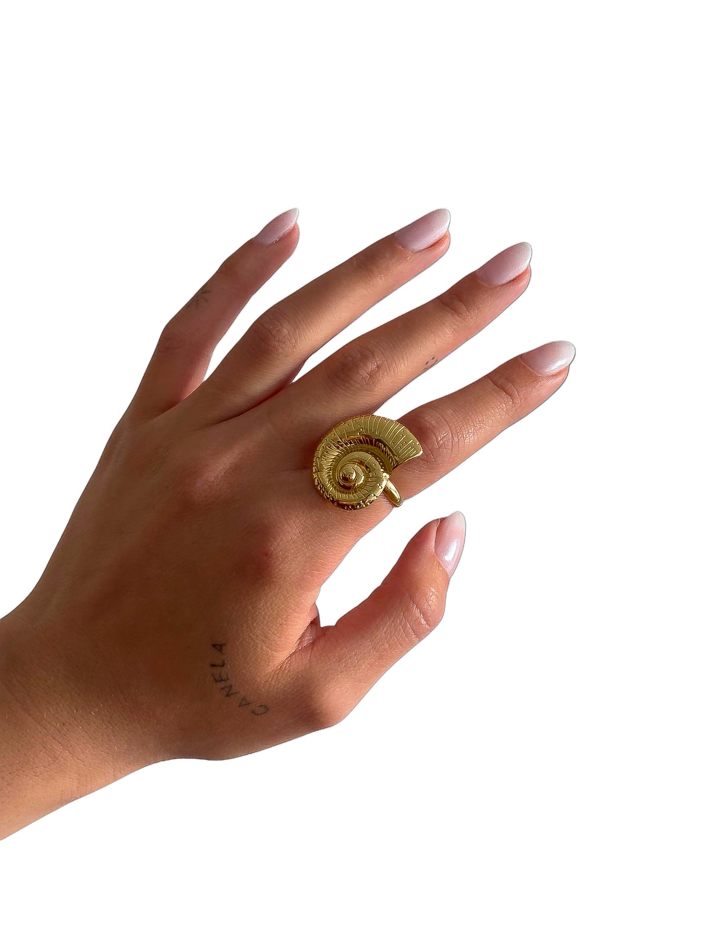 Anillo Caracola